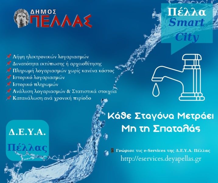 https://www.tastv.gr/sites/default/files/images/dimos_pellas_deyap.jpg